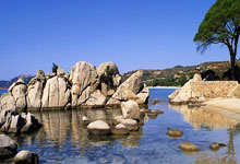 开云体育在线-中国女足在比赛中彰显了中国体育的潜力